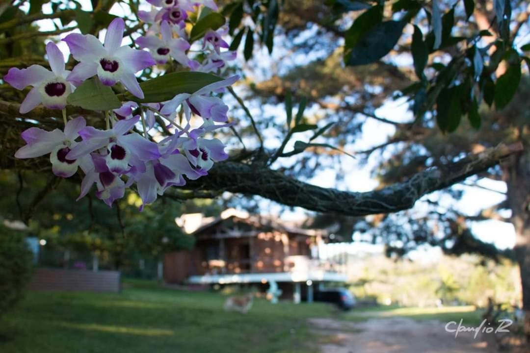 Viamão Linda Casa De Campo מראה חיצוני תמונה